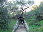 2005